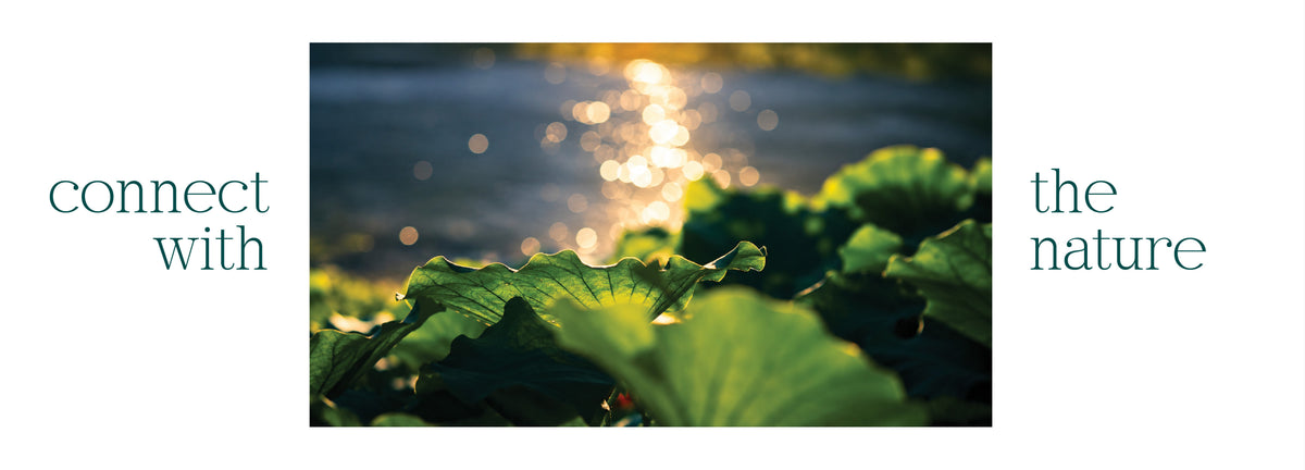 Connect with nature: the inspiration behind MEIR jewelry