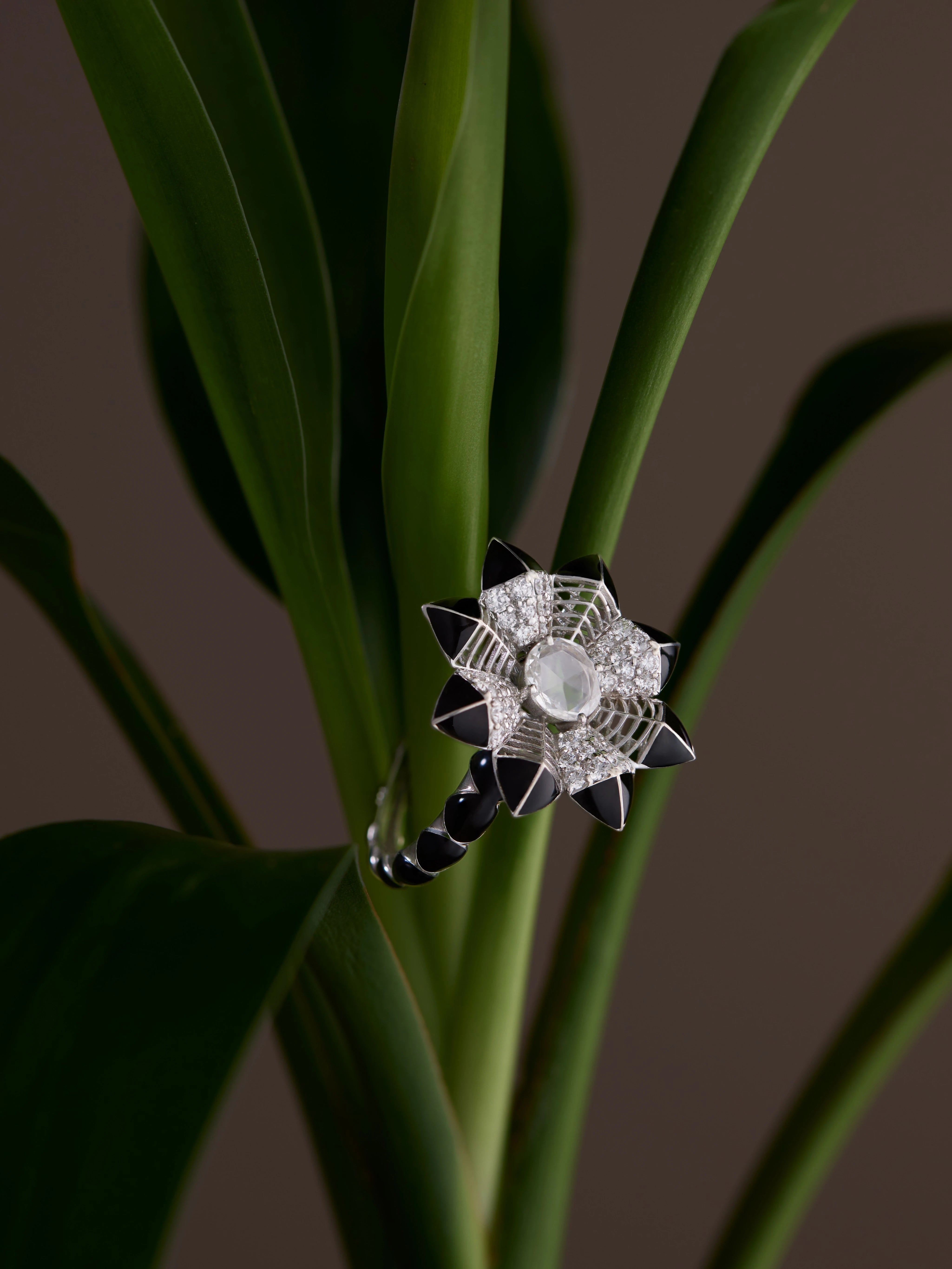 MEIR jewellery set against green leaves