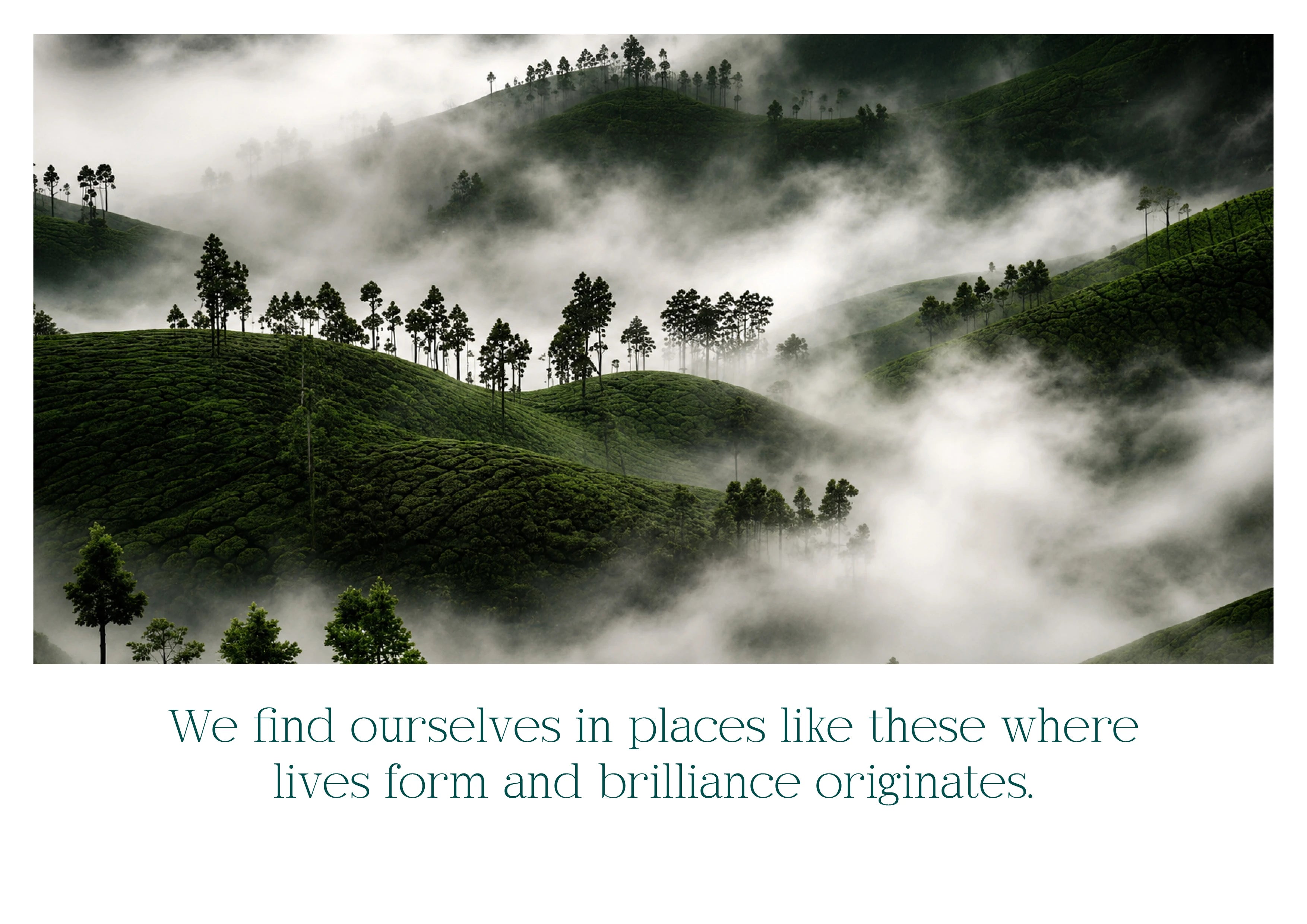 Mist-covered green hills