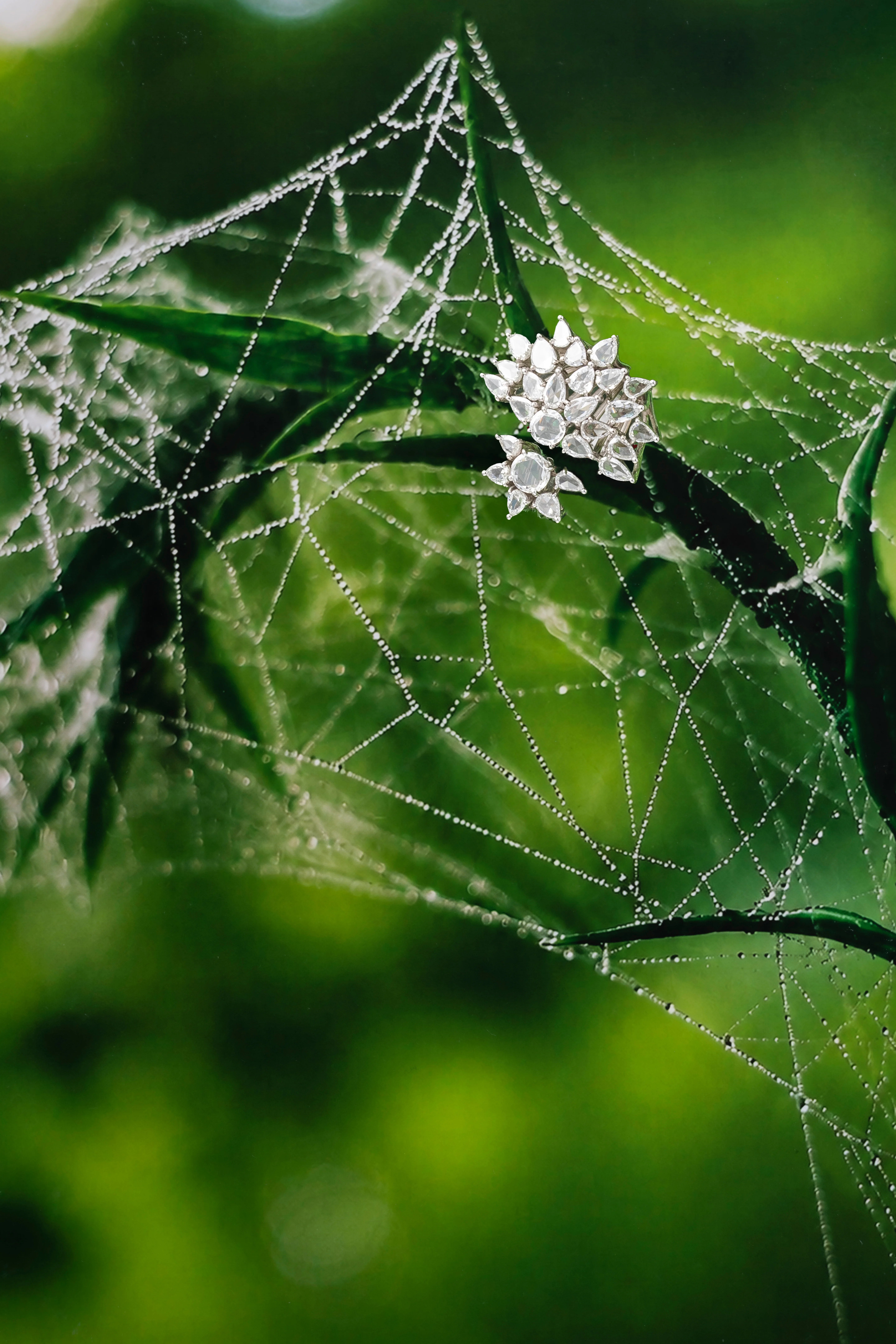 MEIR Web jewel on a spider web